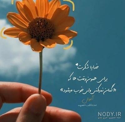 عکس گل برای پروفایل بسیار هنری و جدید فیک و طبیعی - گلی خانوم عکس گل برای پروفایل بسیار هنری و جدید فیک و طبیعی - گلی خانوم