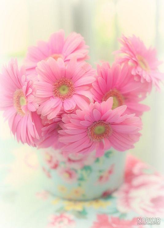 عکس گل برای پروفایل فانتزی