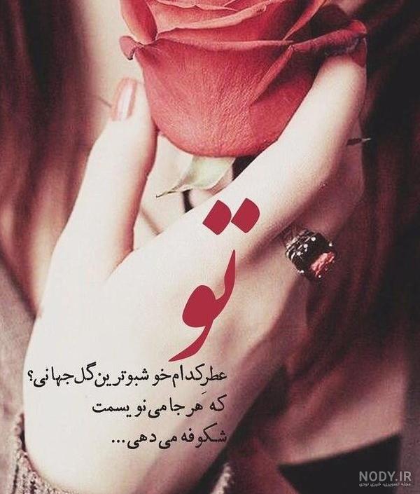 عکس های گل برای پروفایل واتساپ
