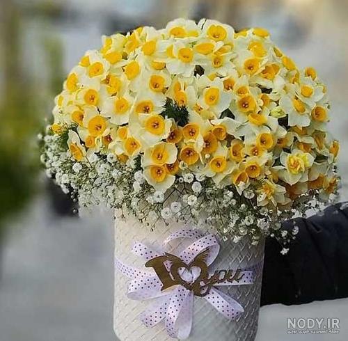 عکس گل جدید زیبا - عکس نودی