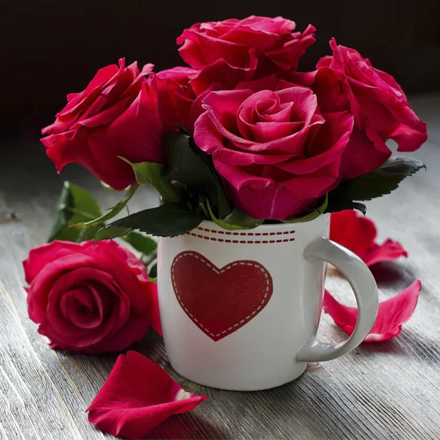عکس گل های زیبا برای پروفایل تلگرام