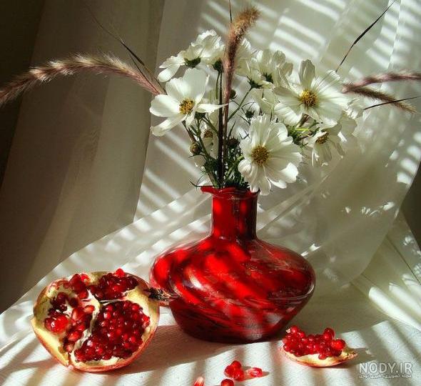 عکس گل زیبا برای پروفایل واتساپ