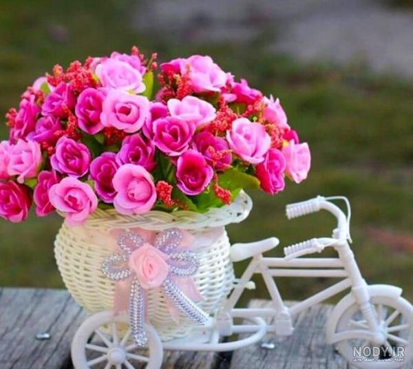 عکس گل 1403 | عکس گل بسیار زیبا برای پروفایل شاد | عکس گل برای ...