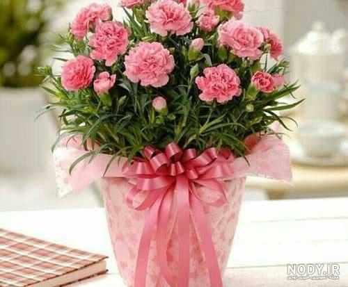 عکس گل فوق العاده زیبا برای پروفایل | تصاویر جذاب ترین گل های جهان