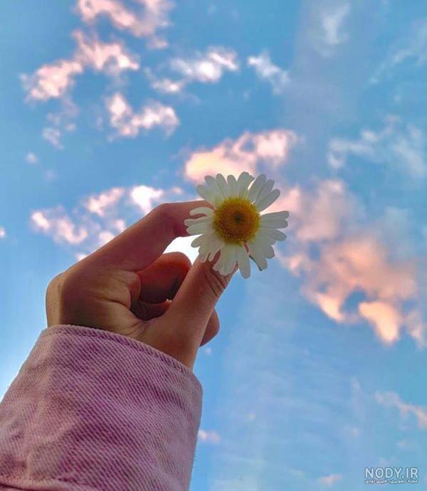 50 عکس گل و پروفایل گل زیبا برای واتساپ و تلگرام - Tjoor