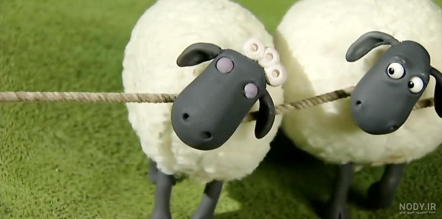 اهدای بیش از۵۶ راس گوسفند و گاو در شهرستان چاراویماق اهدای بیش از۵۶ راس گوسفند و گاو در شهرستان چاراویماق