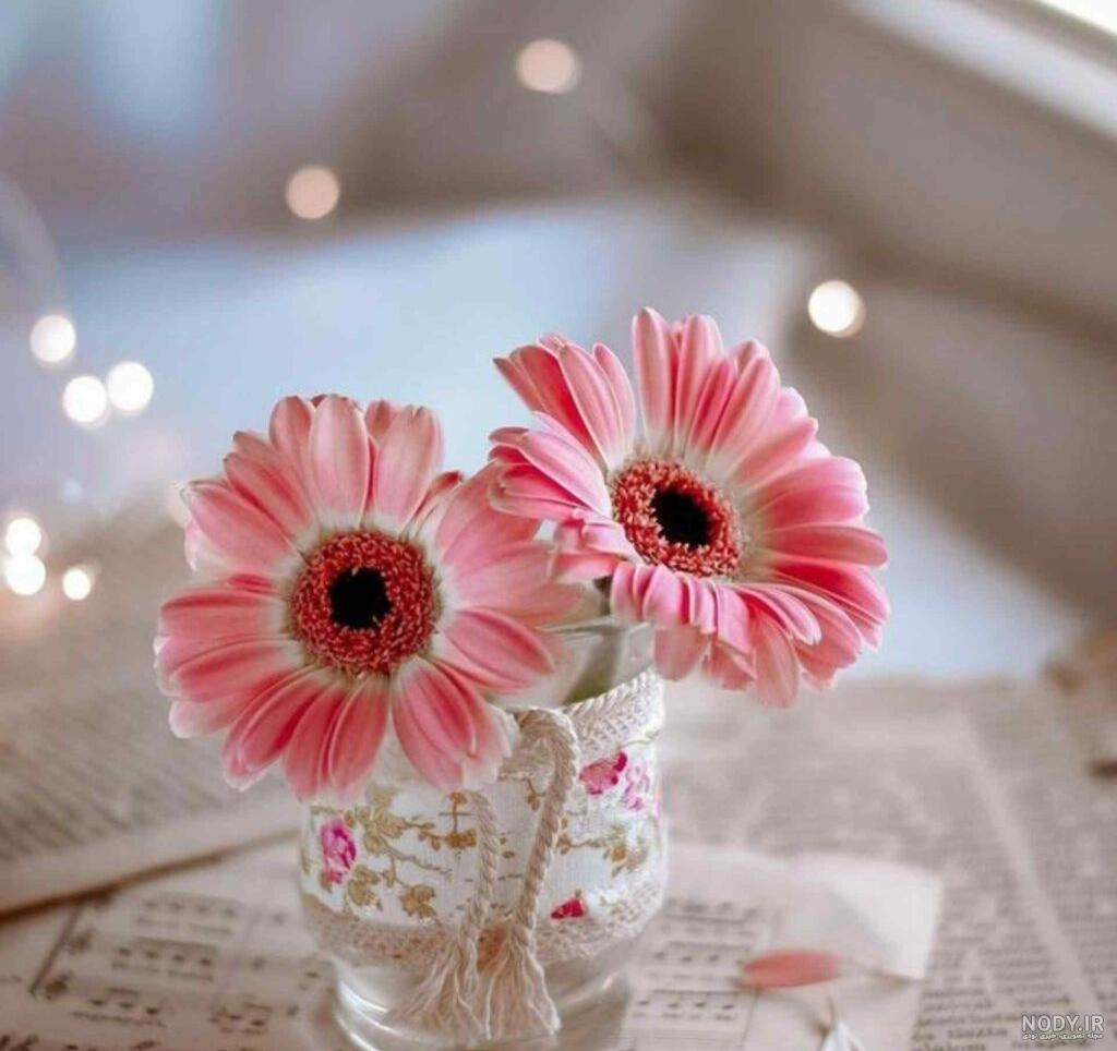 عکس دختر با گل برای پروفایل 1401 | باکلاس عکس دختر با گل برای ...