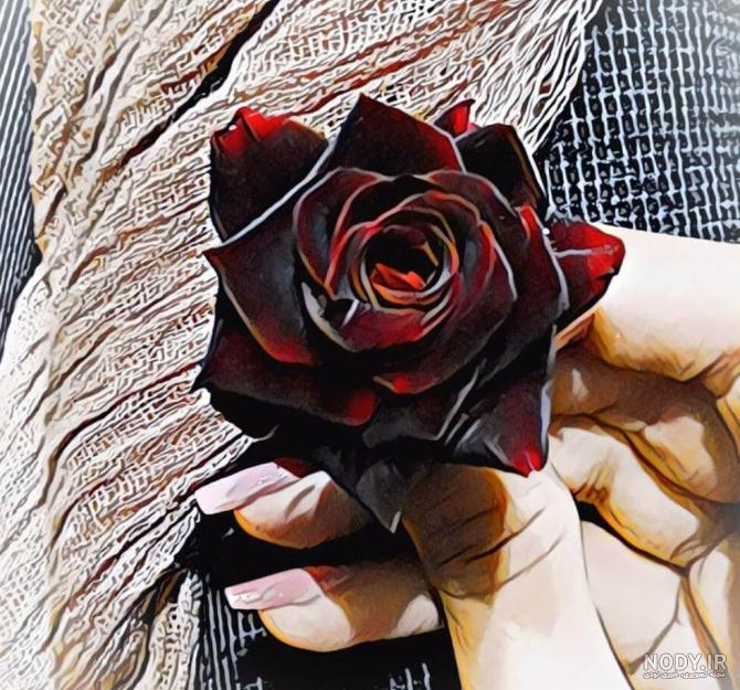 عکس پروفایل دخترونه خفن گل