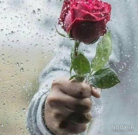 عکس پروفایل پسرانه گل به دست