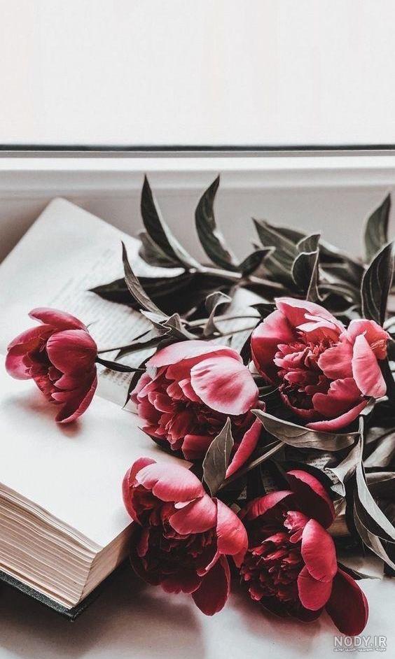 عکس پروفایل پسرانه گل به دست - عکس نودی