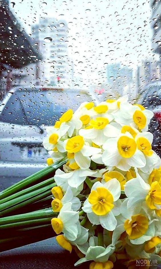 عکس پروفایل گل زیبا و شیک، خاص و جدید دخترانه برای واتساپ و تلگرام