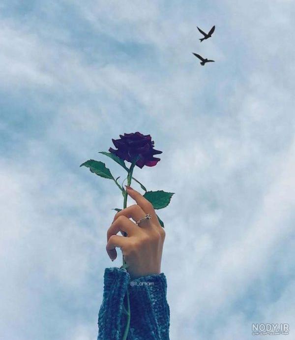 عکس گل برای پروفایل دخترانه عکس گل برای پروفایل دخترانه