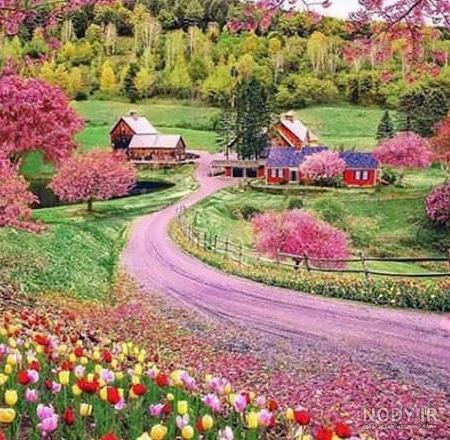 عکس گل برای پروفایل | عکس گل برای پروفایل واتساپ دخترانه | عکس گل ...
