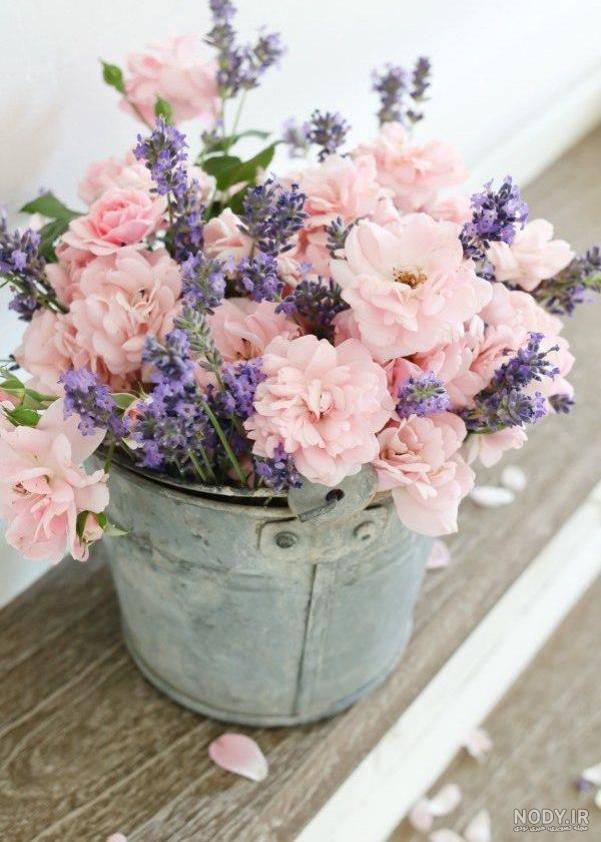 عکس گل رز برای پروفایل تلگرام و اینستاگرام • مجله تصویر زندگی