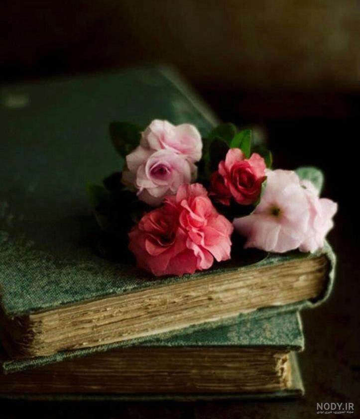 عکس گل رز برای پروفایل تلگرام و اینستاگرام • مجله تصویر زندگی