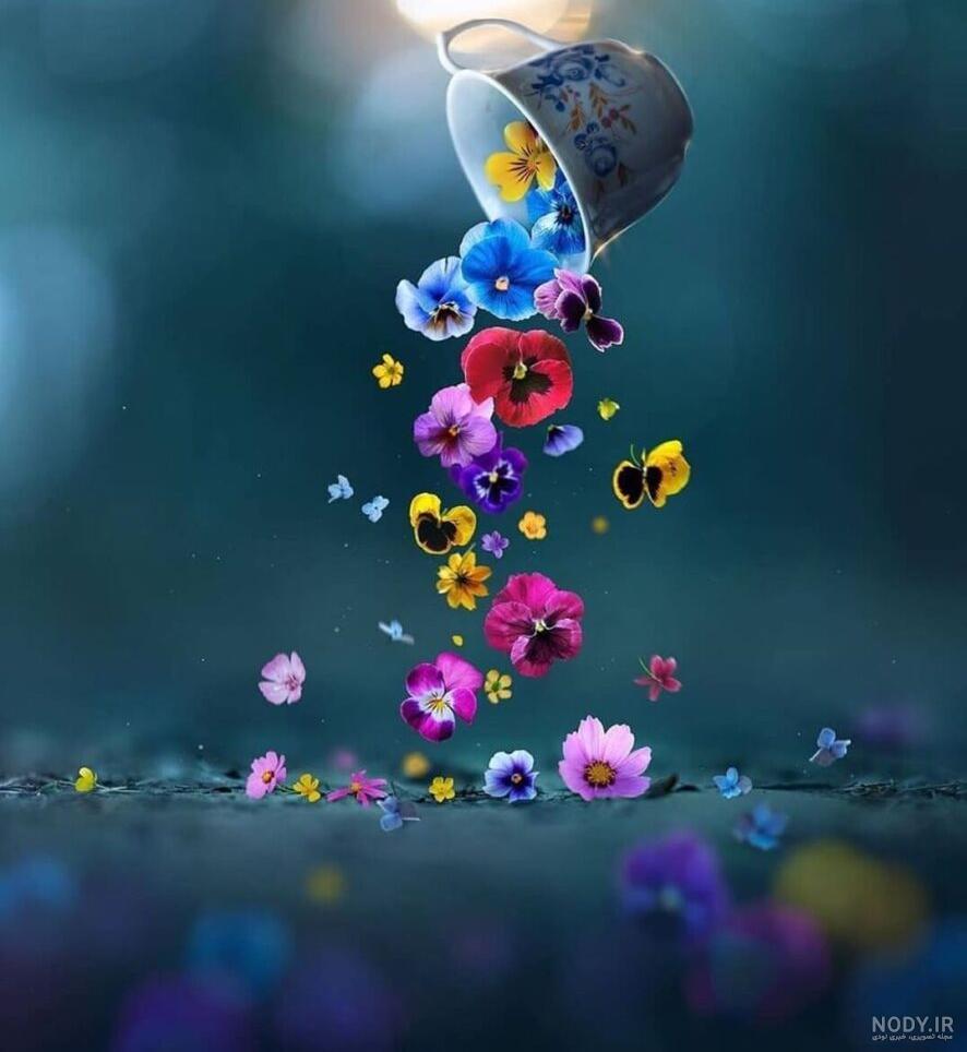 عکس گل پسرانه برای پروفایل - عکس نودی
