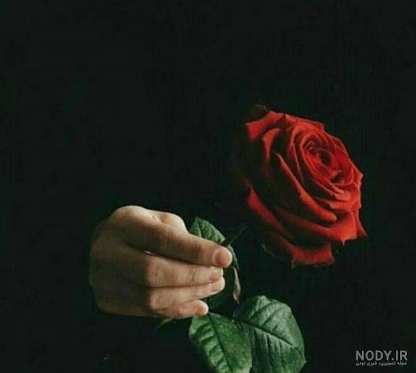 عکس گل پسرانه برای پروفایل ❤️ [ بهترین تصاویر ]