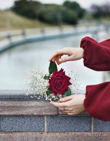 موزیک احساسی # میثم ابراهیمی # اون یه گل رز تو دستم داد