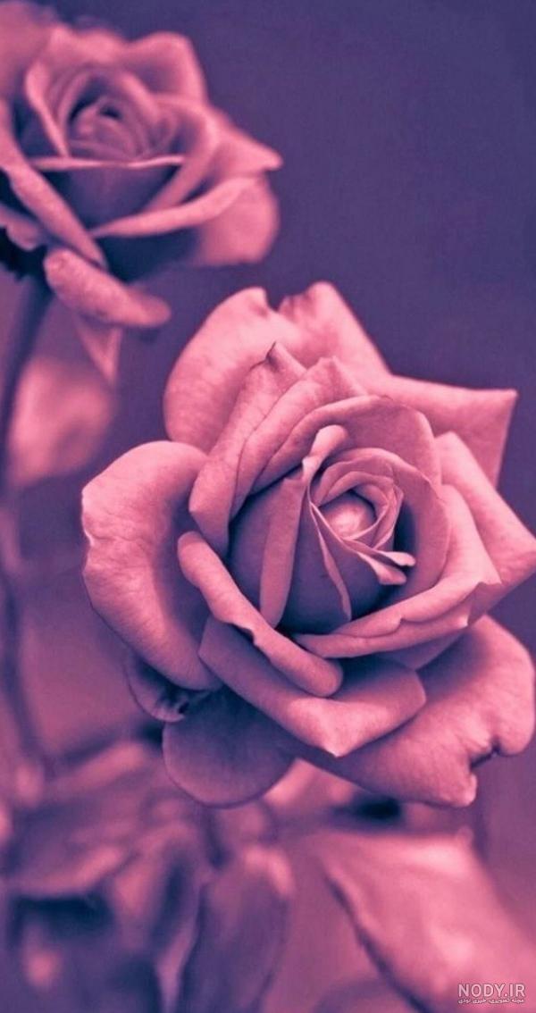 ۳۵ تصویر زمینه دخترانه جدید از عکس های شیک کیوت و با کلاس ۲۰۲۳