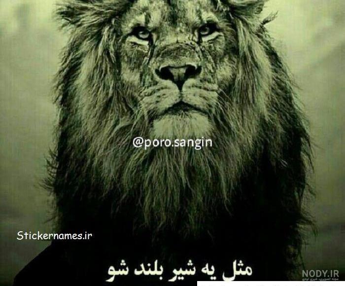 دانلود برنامه Lion Wallpaper HD & 4K برای اندروید | مایکت