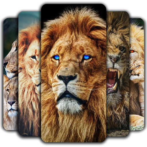 عکس شیر پروفایل
