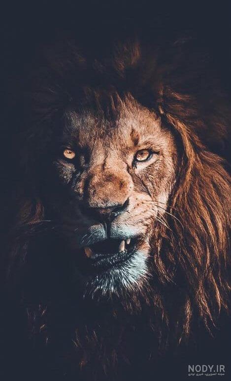 عکس پس زمینه فانتزی شیر با کیفیت بالا