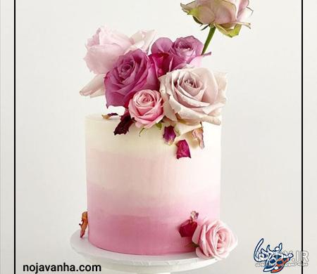 عکس کیک تولد دخترانه شیک و ساده صورتی