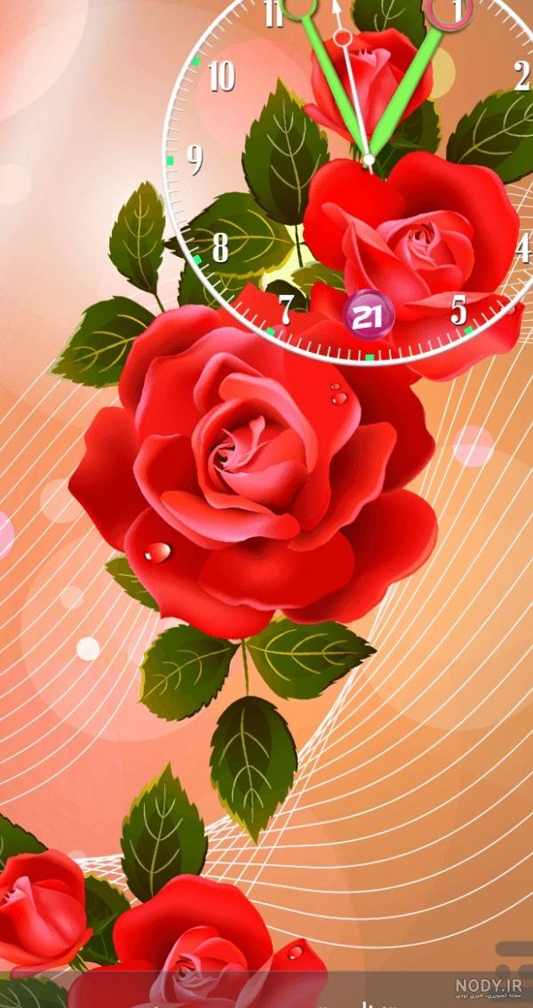 عکس گل رز برای تصویر زمینه گوشی سامسونگ عکس گل رز برای تصویر زمینه گوشی سامسونگ