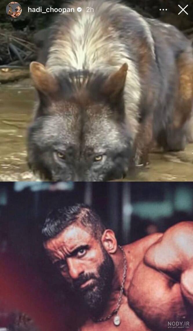 عکس واقعی هادی چوپان