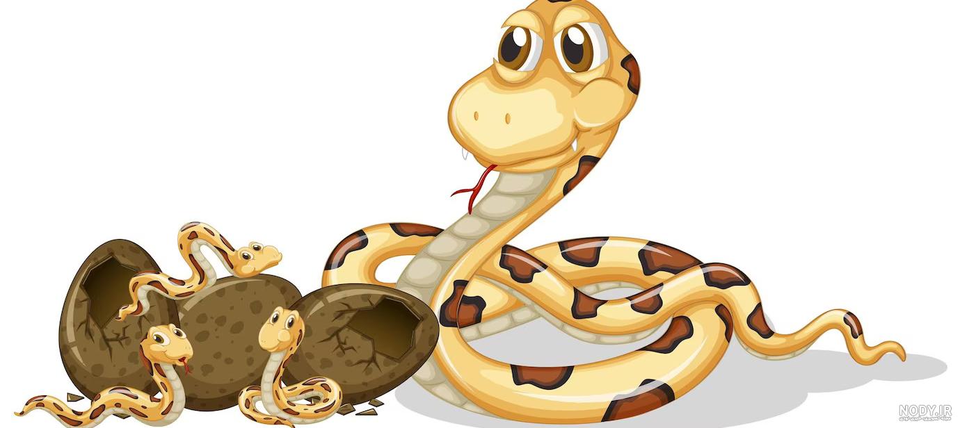 از مار زنبور عسل تا افعی گودال؛ دنیای مارها چه رنگی است؟/ عکس ...