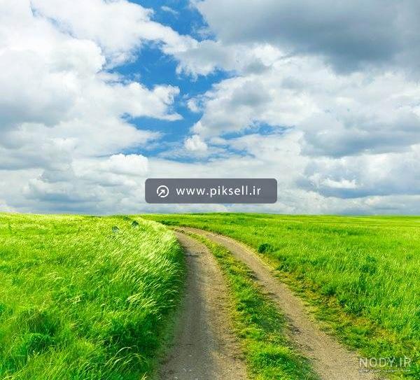 تصویر یک سبزه زار زیبا تصویر یک سبزه زار زیبا