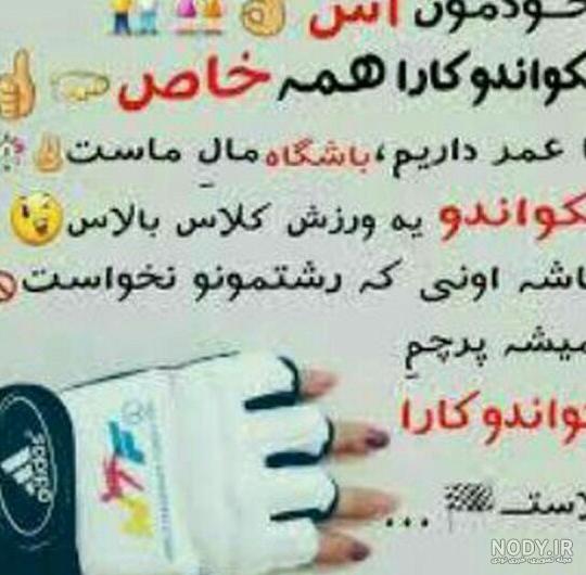 تکواندو عکس با کیفیت تکواندو و وکتور لایه باز تکواندو پارس استاک ...