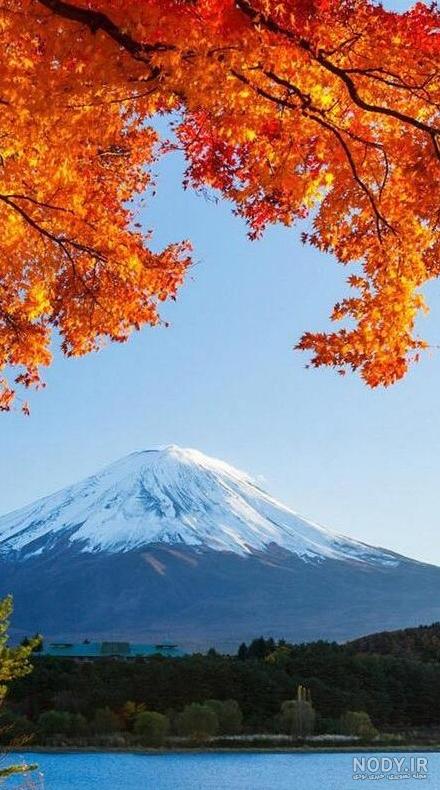 عکس تصویر زمینه طبیعت سرسبز