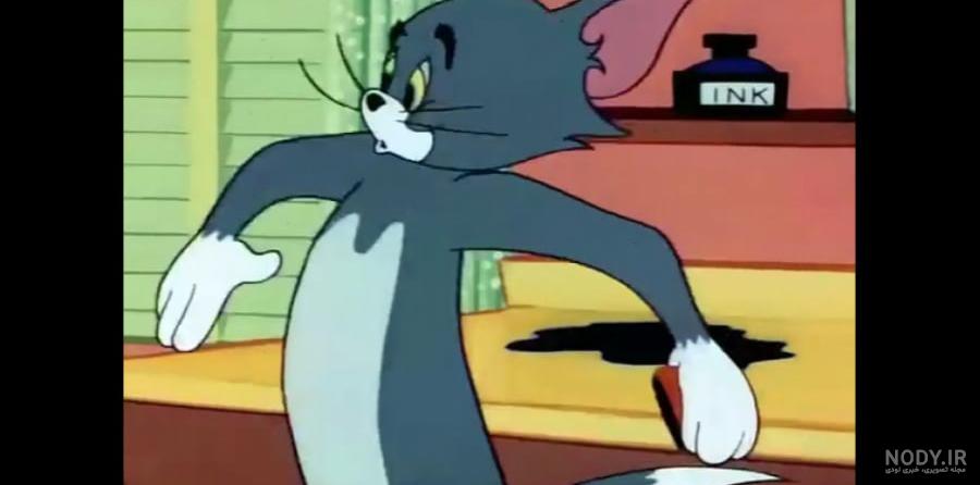 عکس موش تام عکس موش تام