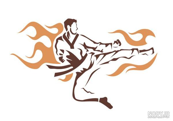 عکس پروفایل خفن تکواندو - عکس نودی