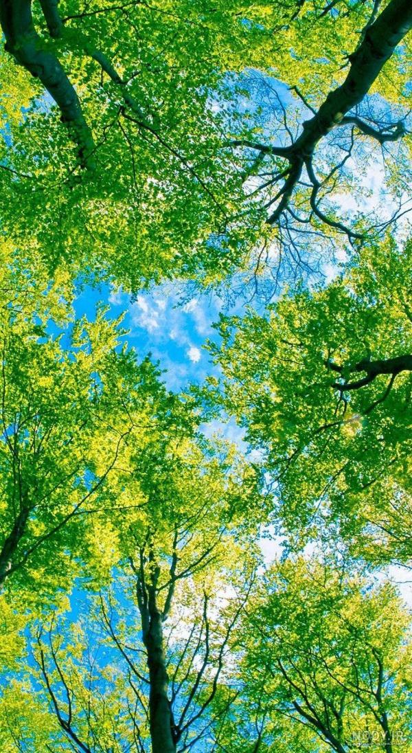 عکس پس زمینه طبیعت برای گوشی