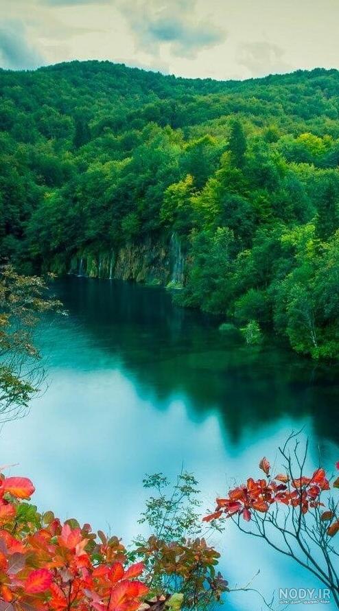 عکس پس زمینه گوشی طبیعت زیبا