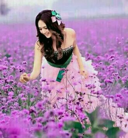 عکس گل عکس گل