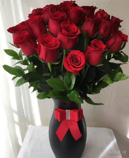عکس گل رز پس زمینه