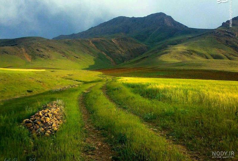مسترگراف مسترگراف