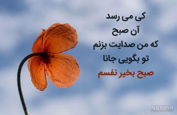 پیام های دلنشین صبح بخیر گفتن + زیباترین عکس نوشته صبح بخیر جذاب و با ...