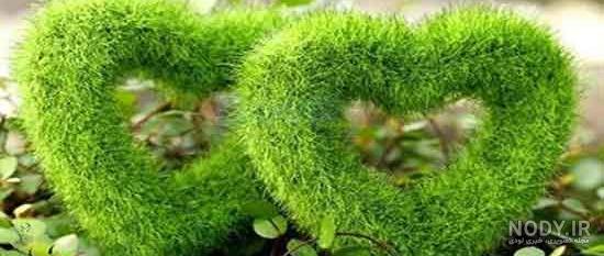 چمنزار گندم 1128497 چمنزار گندم 1128497