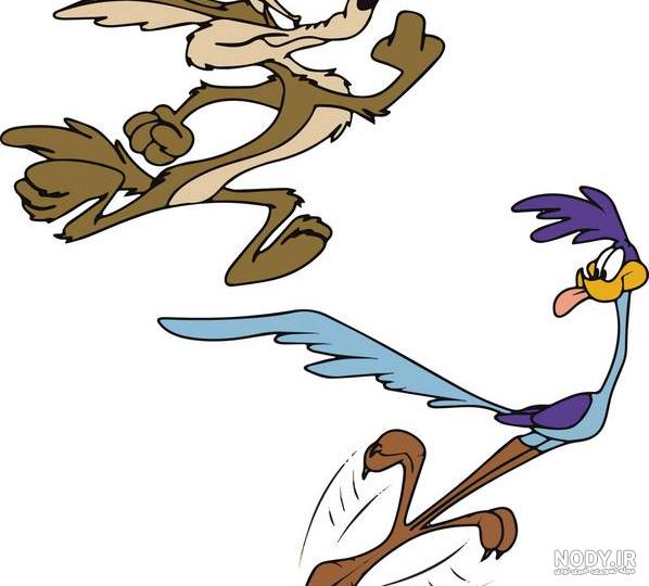 کارتون میگ میگ یا کایوت و رودرانر coyote and roadrunner کارتون میگ میگ یا کایوت و رودرانر coyote and roadrunner