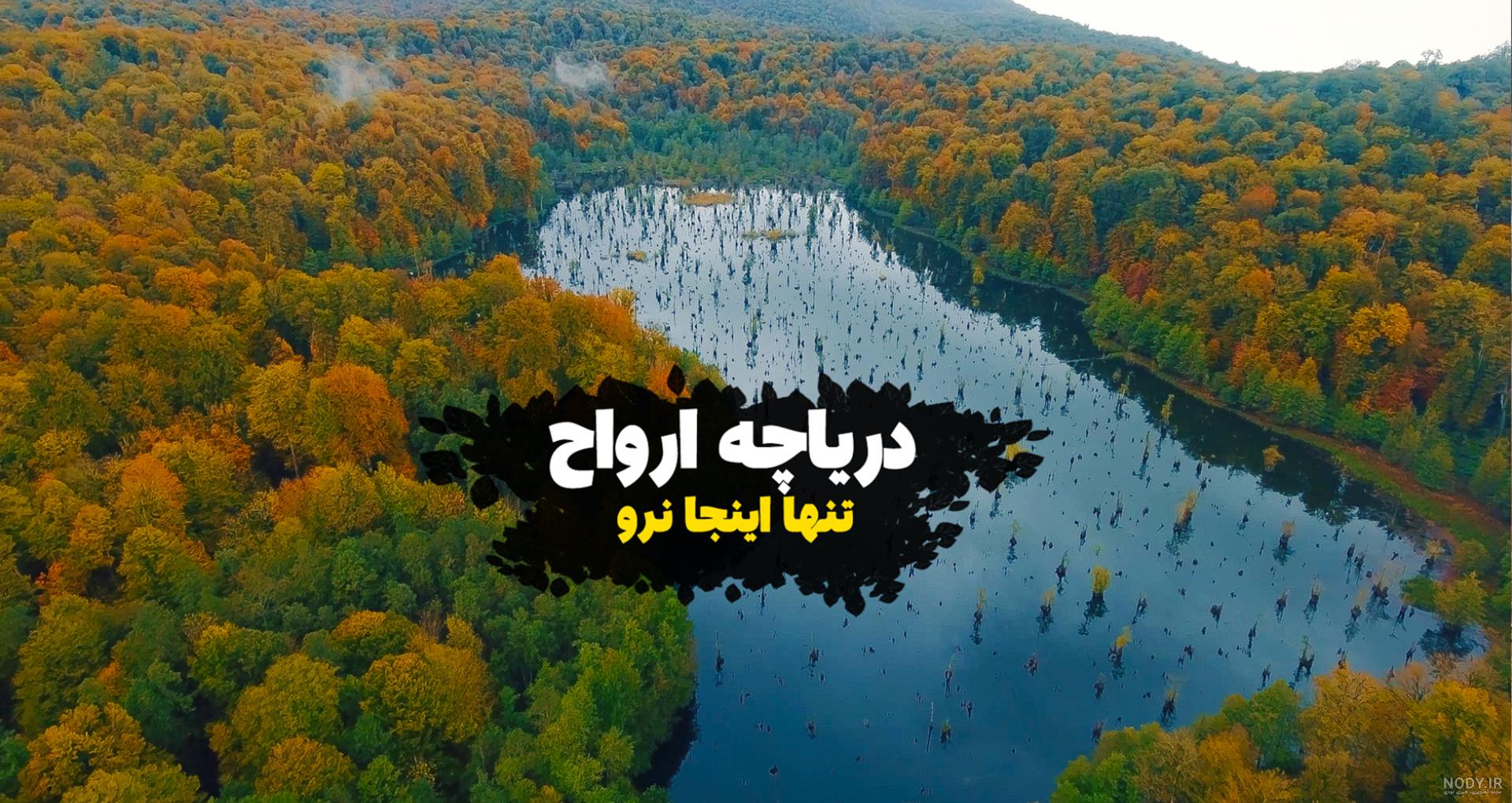 برج سفید سرخرود