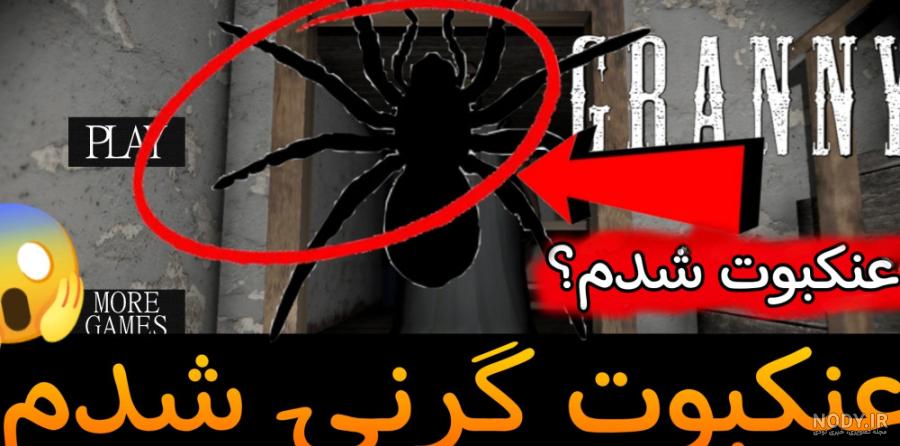 عنکبوت گرنی کشتم و دنبالم کرد!