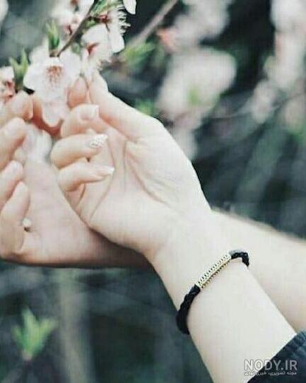عکس پروفایل بدون متن بهار ❤️ [ بهترین تصاویر ]