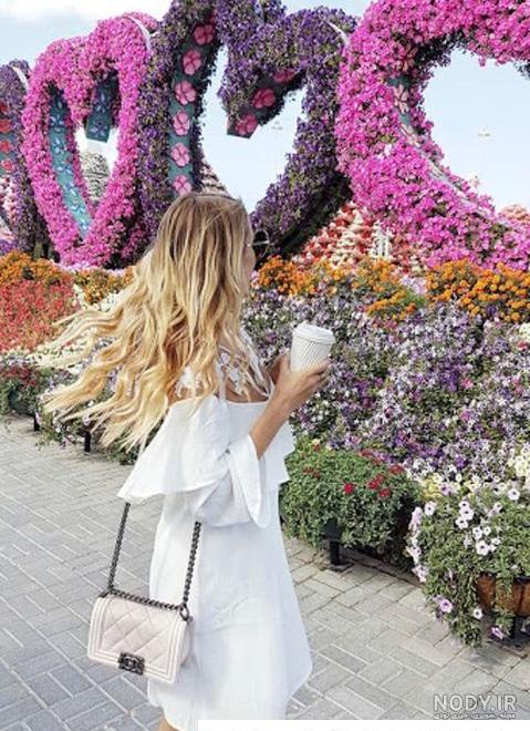 عکس پروفایل بدون متن بهار ❤️ [ بهترین تصاویر ]