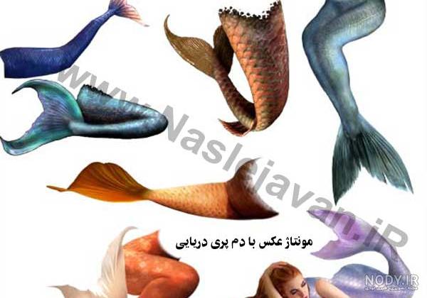 عکس پری دریایی قشنگ - عکس نودی