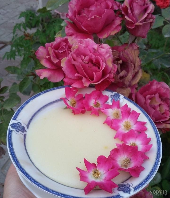 عکس گل سر پاپیونی عکس گل سر پاپیونی