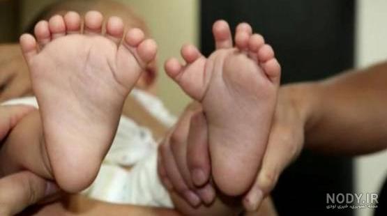 له کردن همه چیز غیر از سگ کوچولو